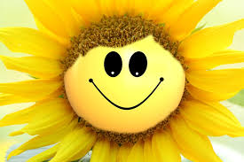 smileysunflower